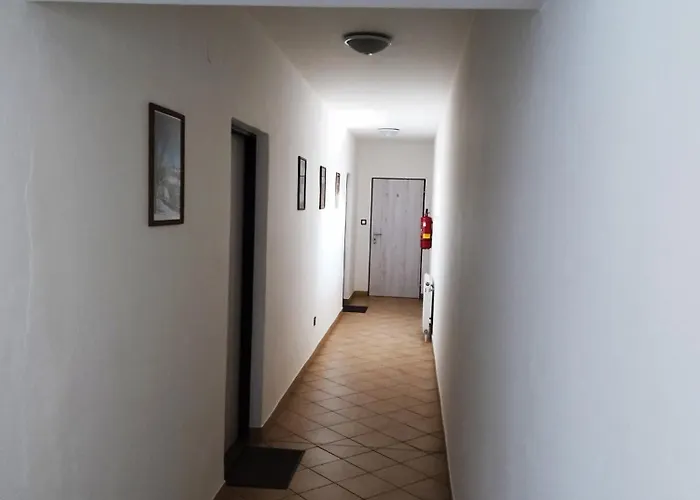 Na Frantsachte Pansiyon