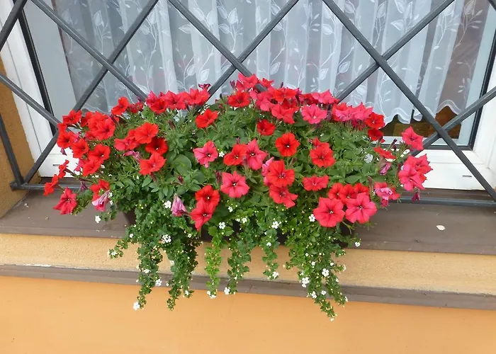 Na Frantsachte Δωμάτια σε οικογενειακή κατοικία